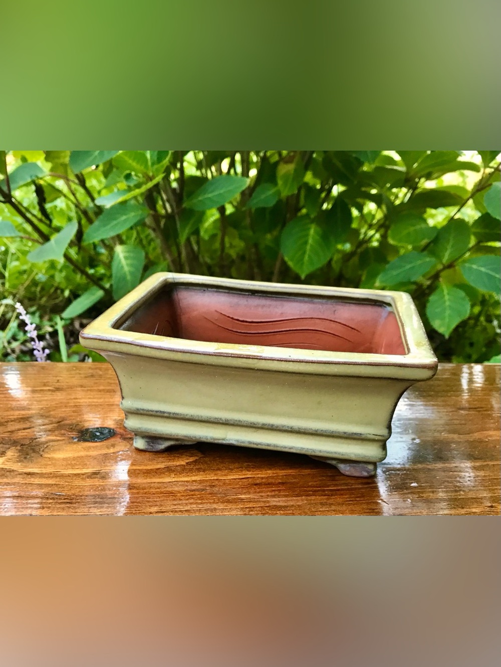 Special Bottom 6” X 4.5” Square Rectangular Bonsai Planter Ceramic Tree Planter